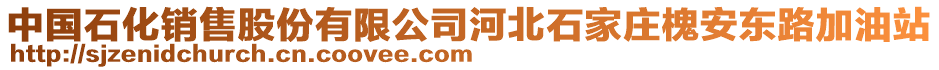 中国石化销售股份有限公司河北石家庄槐安东路加油站