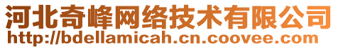 河北奇峰網(wǎng)絡(luò)技術(shù)有限公司