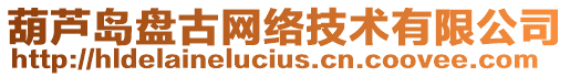 葫蘆島盤古網絡技術有限公司