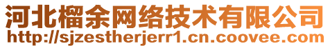 河北榴余網(wǎng)絡(luò)技術(shù)有限公司