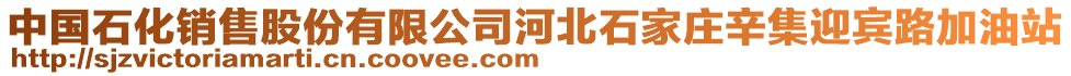 中國石化銷售股份有限公司河北石家莊辛集迎賓路加油站