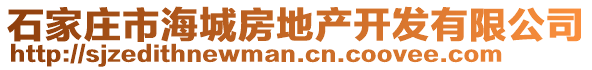 石家庄市海城房地产开发有限公司