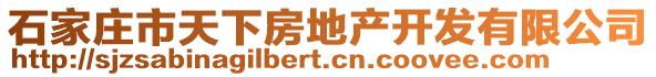 石家庄市天下房地产开发有限公司