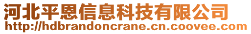 河北平恩信息科技有限公司