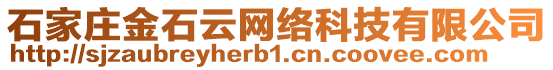 石家莊金石云網(wǎng)絡(luò)科技有限公司