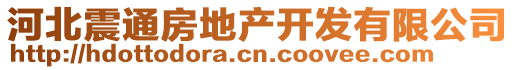 河北震通房地產開發有限公司