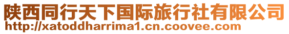 陜西同行天下國際旅行社有限公司