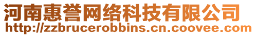 河南惠譽網絡科技有限公司