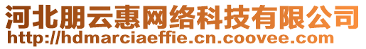 河北朋云惠網絡科技有限公司