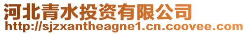 河北青水投資有限公司