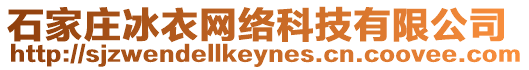 石家莊冰衣網絡科技有限公司