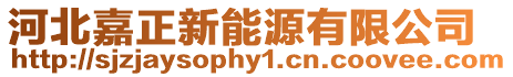 河北嘉正新能源有限公司