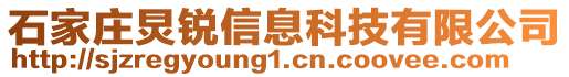 石家莊炅銳信息科技有限公司