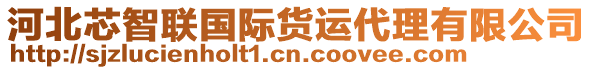 河北芯智聯(lián)國(guó)際貨運(yùn)代理有限公司