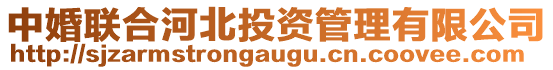 中婚聯(lián)合河北投資管理有限公司