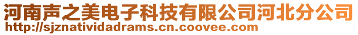 河南聲之美電子科技有限公司河北分公司