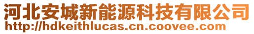 河北安城新能源科技有限公司