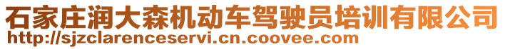 石家莊潤大森機(jī)動車駕駛員培訓(xùn)有限公司