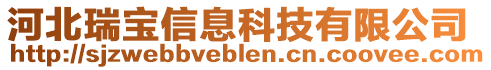 河北瑞寶信息科技有限公司