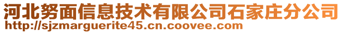 河北努面信息技術有限公司石家莊分公司