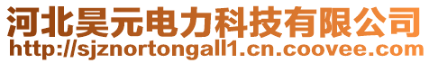 河北昊元電力科技有限公司