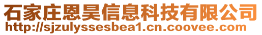 石家莊恩昊信息科技有限公司