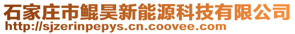 石家莊市鯤昊新能源科技有限公司