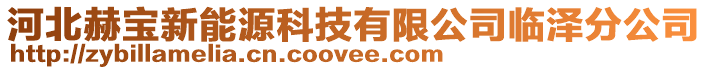 河北赫宝新能源科技有限公司临泽分公司