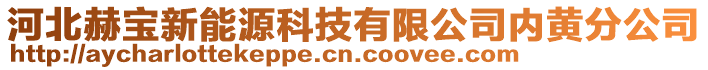 河北赫宝新能源科技有限公司内黄分公司