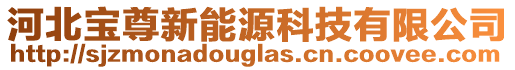 河北宝尊新能源科技有限公司