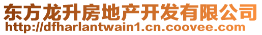 東方龍升房地產(chǎn)開發(fā)有限公司