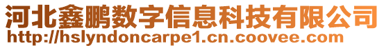 河北鑫鵬數(shù)字信息科技有限公司