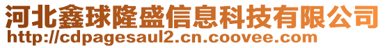 河北鑫球隆盛信息科技有限公司