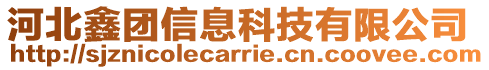 河北鑫團(tuán)信息科技有限公司