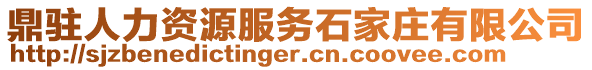 鼎駐人力資源服務石家莊有限公司