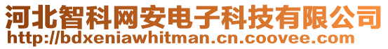 河北智科網(wǎng)安電子科技有限公司