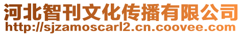 河北智刊文化傳播有限公司