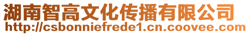 湖南智高文化傳播有限公司