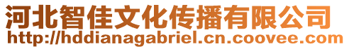 河北智佳文化傳播有限公司