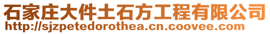 石家莊大件土石方工程有限公司