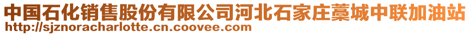 中國石化銷售股份有限公司河北石家莊藁城中聯加油站