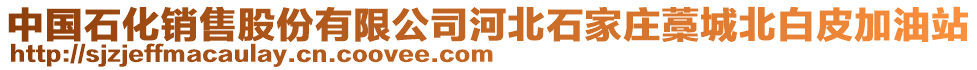 中國(guó)石化銷售股份有限公司河北石家莊藁城北白皮加油站