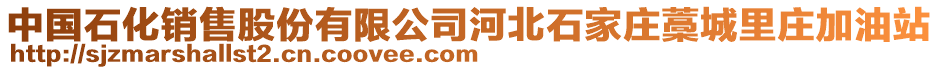 中國石化銷售股份有限公司河北石家莊藁城里莊加油站