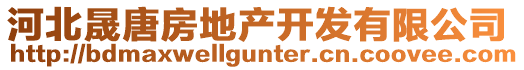 河北晟唐房地產(chǎn)開(kāi)發(fā)有限公司