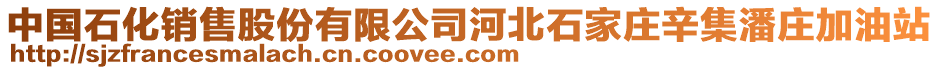 中國(guó)石化銷售股份有限公司河北石家莊辛集潘莊加油站