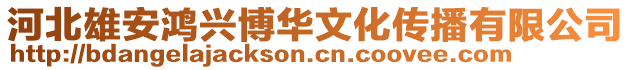 河北雄安鴻興博華文化傳播有限公司