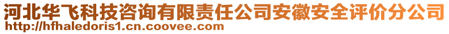 河北華飛科技咨詢有限責(zé)任公司安徽安全評價(jià)分公司