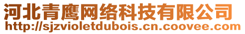 河北青鷹網(wǎng)絡(luò)科技有限公司