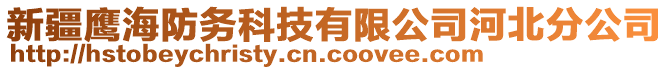 新疆鷹海防務(wù)科技有限公司河北分公司