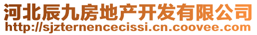 河北辰九房地產(chǎn)開發(fā)有限公司